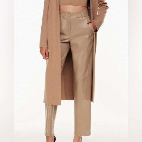 Babaton Pants - Aritzia Babaton Faux Leather Straight Pant